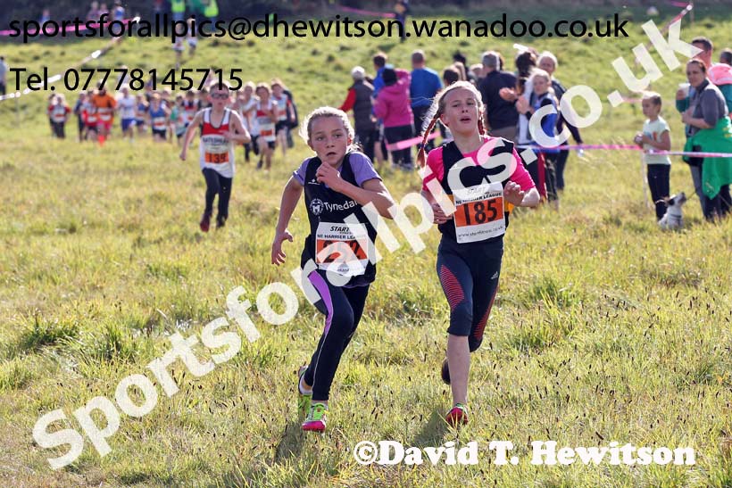 Under-11s start, North East Harrier League, Cramlington. Photo: David T. Hewitson/Sports for All Pics